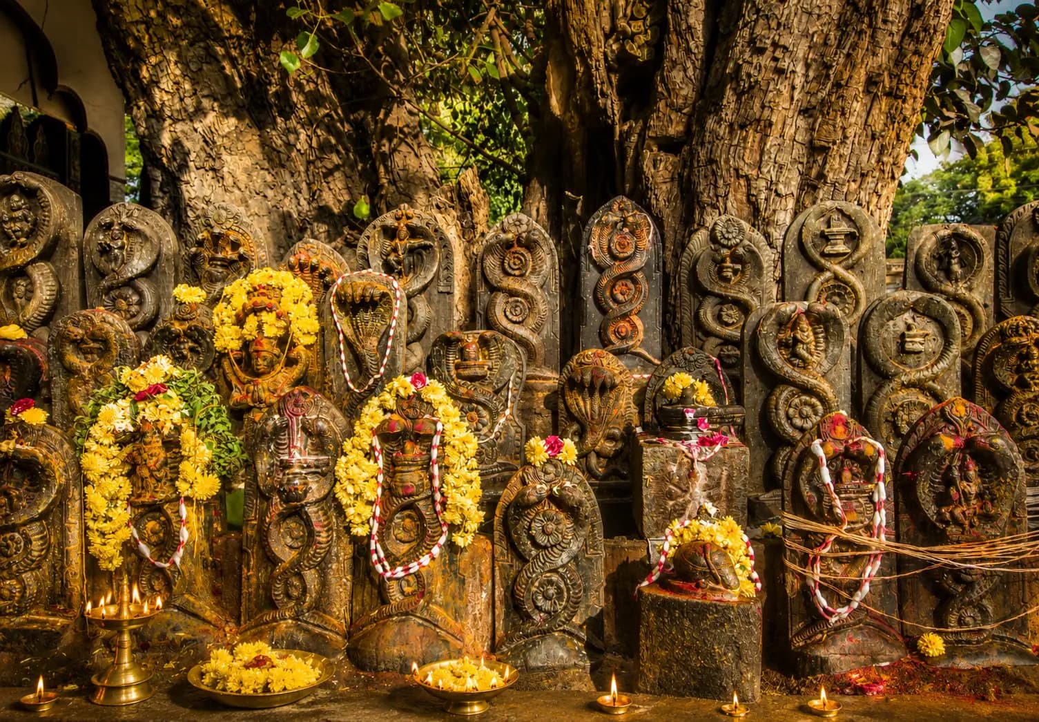 Nagaradhane